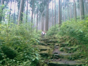 Mercredi 16 : Hakone, téléphérique, volcan, bateau de pirates, mais pas de Mont Fuji