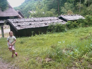 Toîts des chalets de montagne japonais à Hida-no-Sato