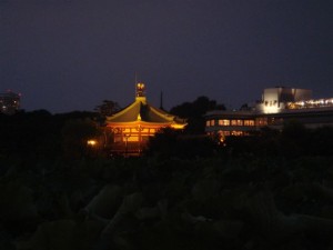 Ueno by night, Tokyo, Japan